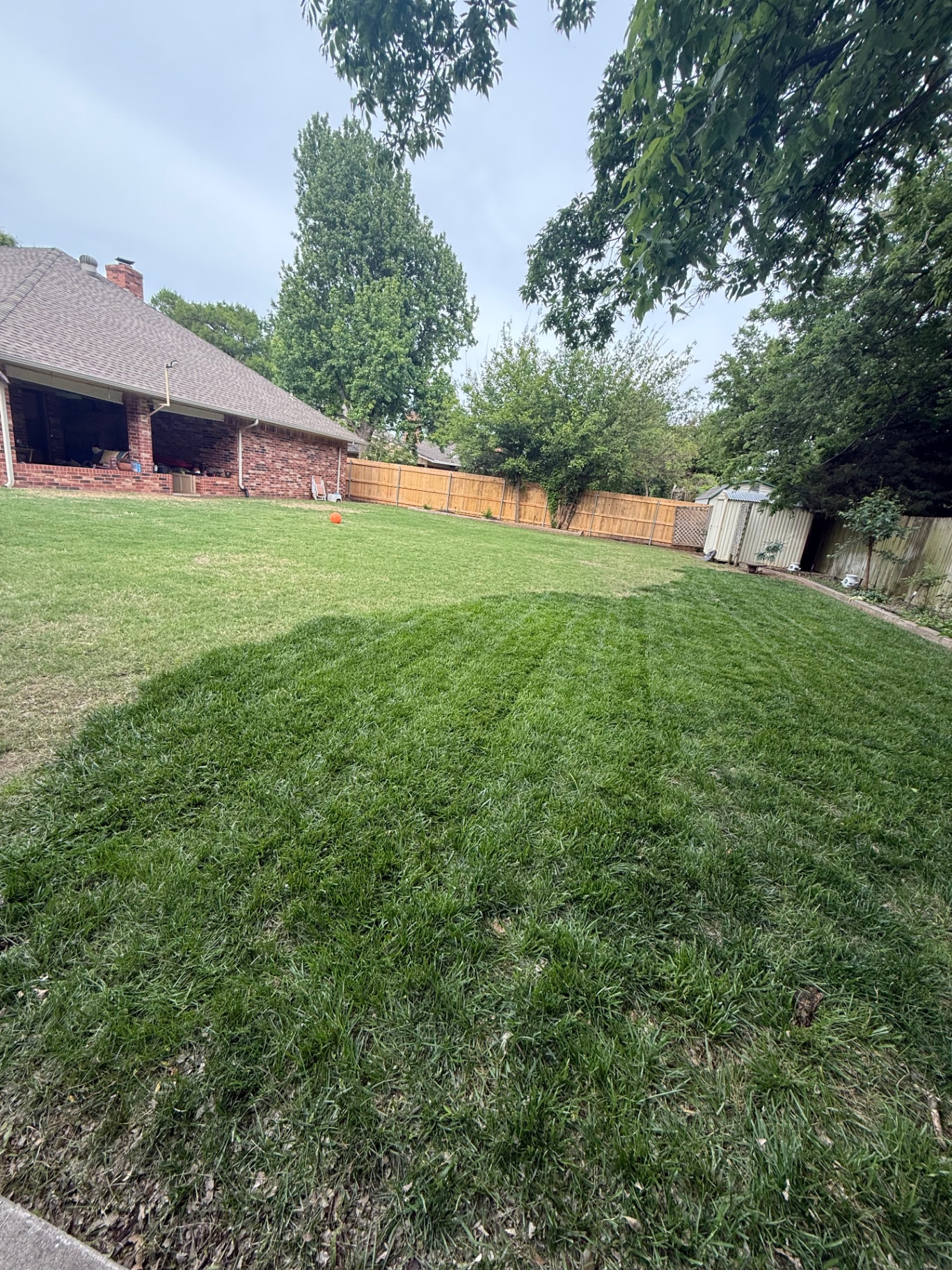 freshly mowed backyard lawn along a wood privacy fence in Oklahoma City
