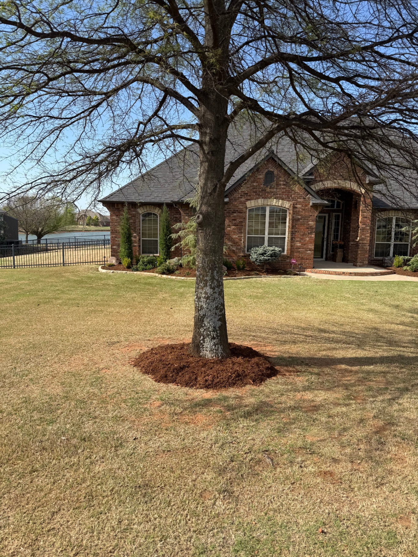 tree removal in oklahoma city, ok